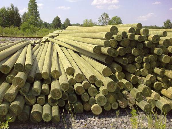 Бизнес план производства опор деревянных пропитанных для ЛЭП